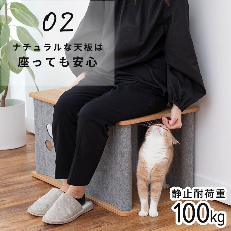 ˥󥳥Υ (ȥͥ&ġ) ǭ ͤ å ȥͥ ͥ ڥå ϥ   ػ     ɥå   ̲ ץ ѥ ¿Ƭ ˥ ǭ 졼  緿ǭ