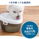 7/11 10:00ޤ 20OFF SALEۥڥå ư ǭ  ߴ  Cat H2O ߥ (1.2L) 륱Ǥ ֥å ư   ߴ  ڥå  ۴ļ 岽ե륿 ǽե륿  ư ư굡 ߴ ߤΤߴ ư α