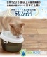 7/11 10:00ޤ 20OFF SALEۥڥå ư ǭ  ߴ  Cat H2O ߥ (1.2L) 륱Ǥ ֥å ư   ߴ  ڥå  ۴ļ 岽ե륿 ǽե륿  ư ư굡 ߴ ߤΤߴ ư α