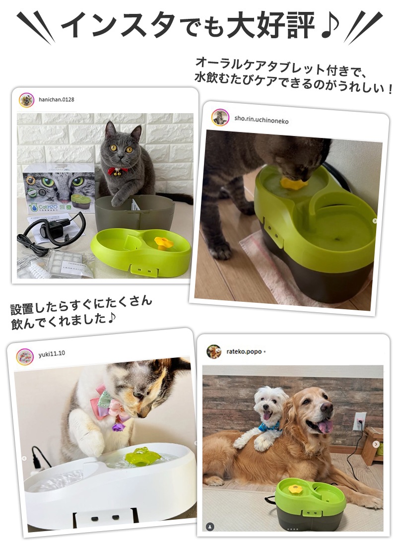 �ڥå� ��ư���� ǭ �� ����ߴ�  Cat H2O �ȥ�͡��� (2L) ������륱���Ǥ��� ���֥�å��� ��ư ���� ��� ����ߴ� ������ �ڥå� ����� �۴ļ� ��岽�ե��륿�� ����ǽ�ե��륿�� �� ��ư����� ��ư���굡 ����ߴ� �ߤ��Τߴ� ��ư��� α����