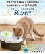 �ڥ����ڡ�����ʡۥڥå� ��ư���� ǭ �� ����ߴ�  Cat H2O �ȥ�͡��� (2L) ������륱���Ǥ��� ���֥�å��� ��ư ���� ��� ����ߴ� ������ �ڥå� ����� �۴ļ� ��岽�ե��륿�� ����ǽ�ե��륿�� �� ��ư����� ��ư���굡 ����ߴ� �ߤ��Τߴ� ��ư��� α����