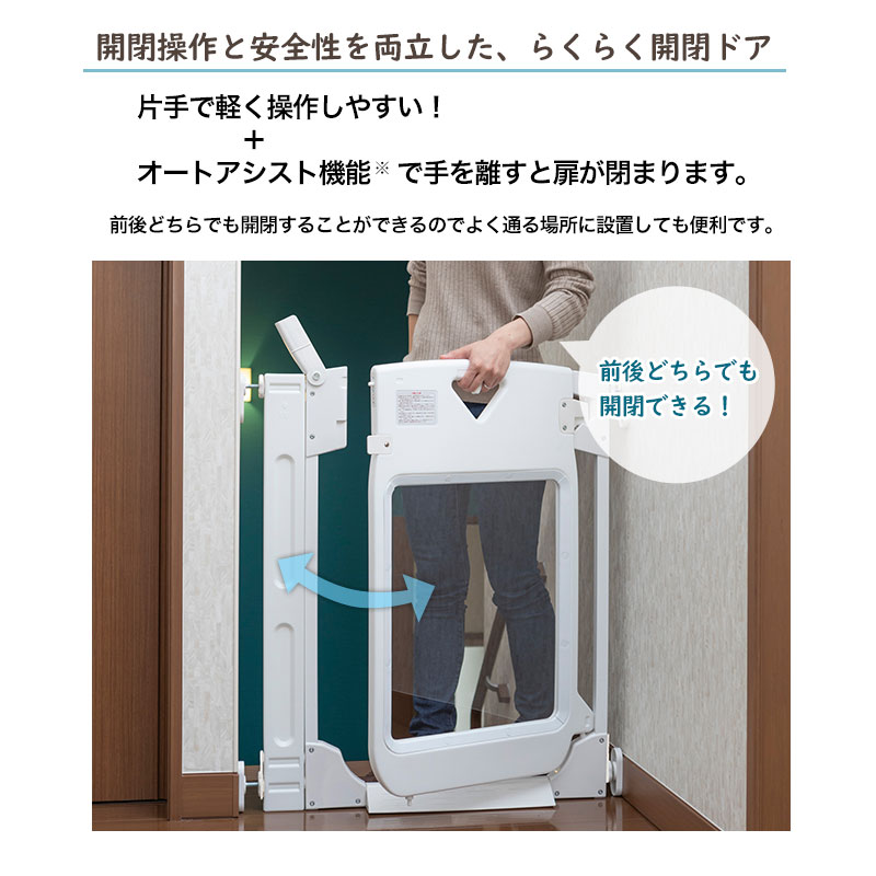 ڥåȥȡޡȥ ץߥ९ꥢ ڥå   ɥդ ͤĥ  