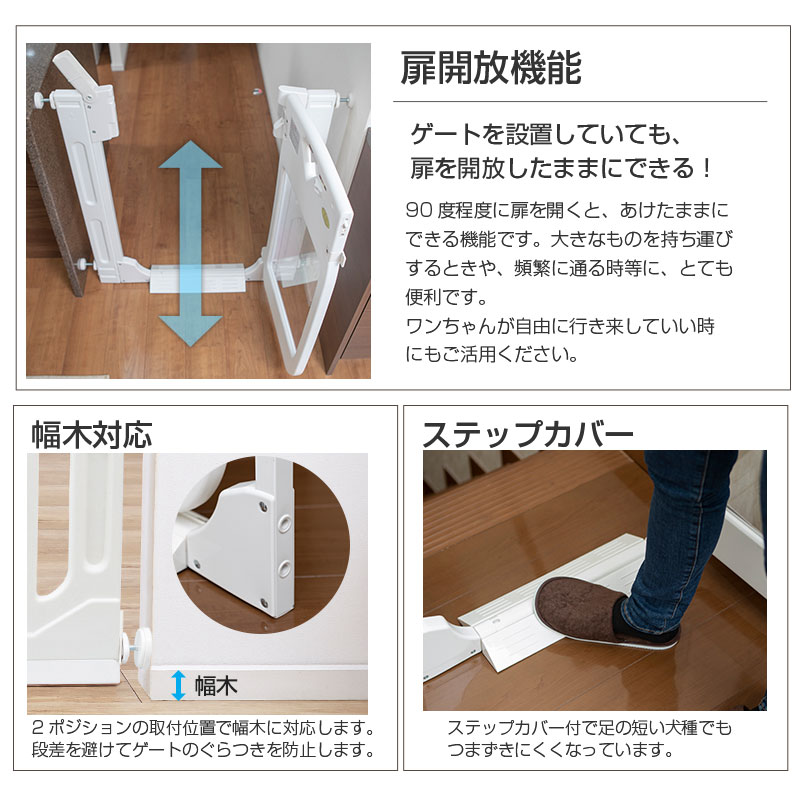 ڥåȥȡޡȥ ץߥ९ꥢ ڥå   ɥդ ͤĥ  