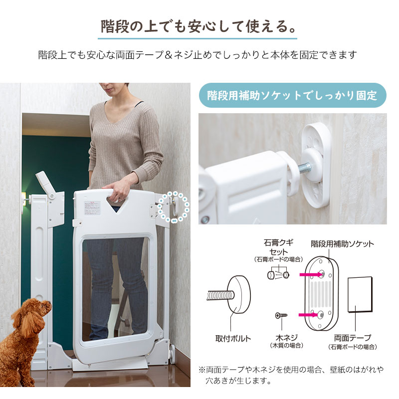 ڥåȥȡޡȥ ץߥ९ꥢ ڥå   ɥդ ͤĥ  