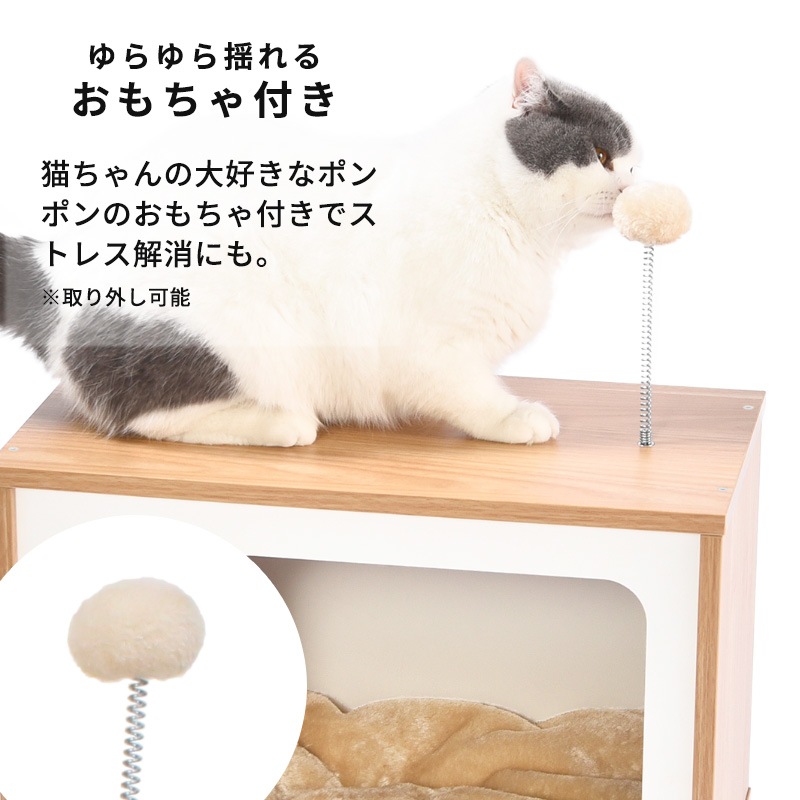 ڿʡۥ˥󥳥Υ (ƥӥ) ǭ ͤ åȥϥ ͥ ڥå ϥ  ƥ ȥ   ɥå   ̲ ץ ѥ ¿Ƭ ˥ ǭ ۥ磻 緿ǭ 