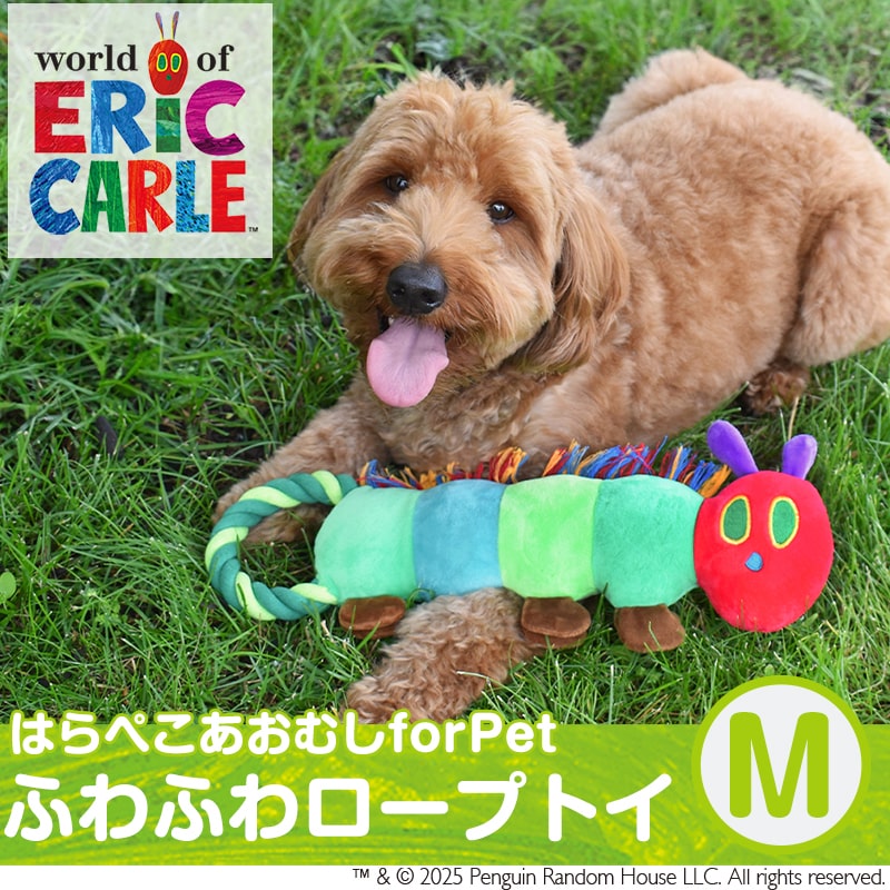 ڿʡۤϤڤष forPet  դդץȥ (M) եȥȥ eric carle