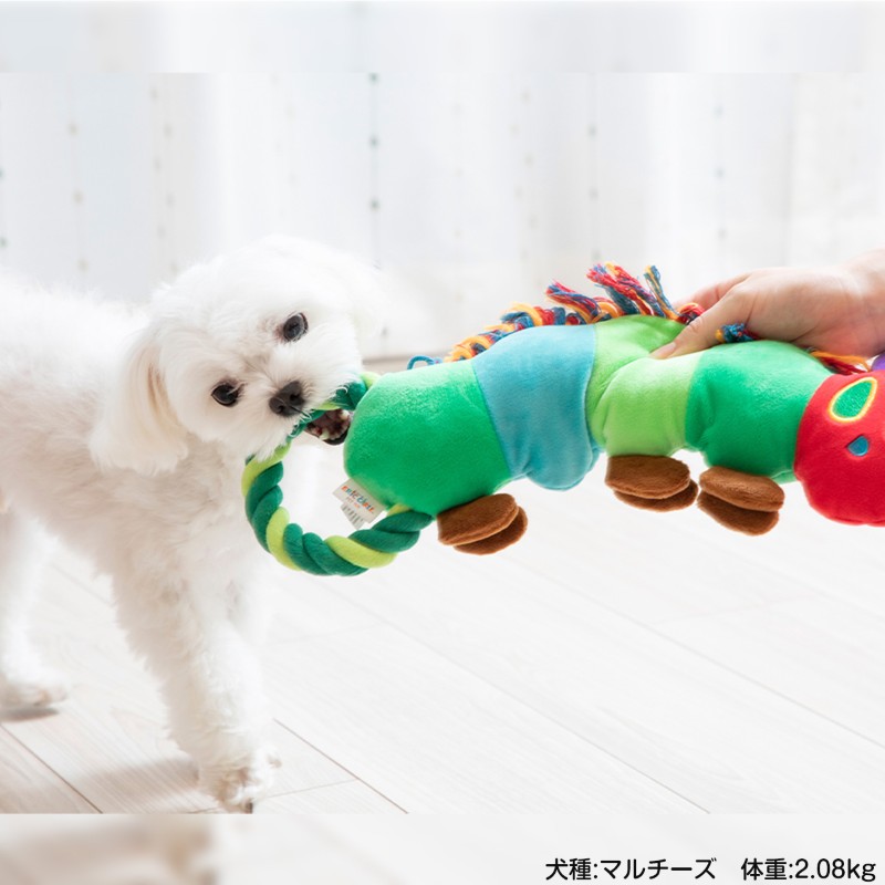 ڿʡۤϤڤष forPet  դդץȥ (M) եȥȥ eric carle