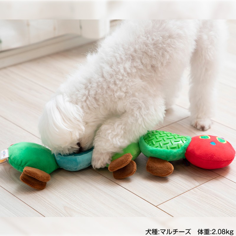 ڿʡۤϤڤष forPet  դդȥ꡼ĥȥ եȥȥ eric carle