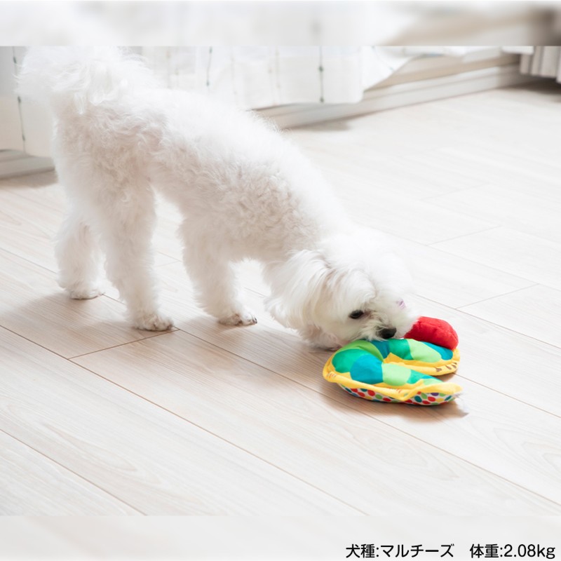 ڿʡۤϤڤष forPet  㤫㤫եȥȥ eric carle