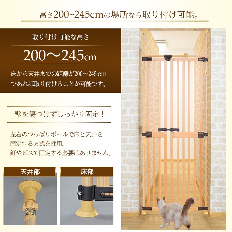 �ڹ���ù��ѥͥ���ѡ� �ڤ� �Τܤ��˥�� �ץ�ߥ��� ���� ���� ���֥ʺ���� ǭæ���ɻߥե��� ǭ æ���ɻ� �Τܤ��ˤ�� ǭ���ʡ� �٥��� ϭ�� ���� ���ӽФ��ɻ� ƨ���ɻ�