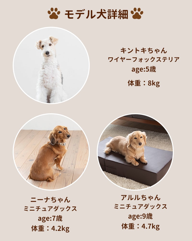 2WAY�ڥåȥ��ƥå� ( �쥮��顼 ) �ڥåȥ��� 2WAY �ڥåȥ��ƥå� �ɥå� ���ƥå� ���ߤ� ���Ԥ�51cm  �ڥå� ���ƥå� ���� ������ �淿�� ���⸤