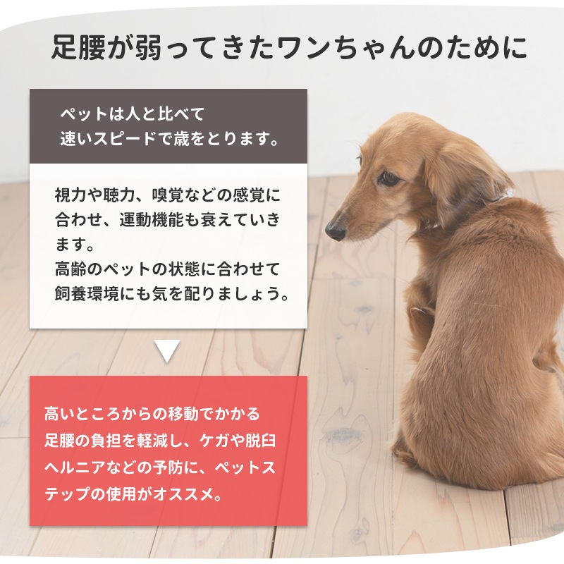 2WAY�ڥåȥ��ƥå� ( �쥮��顼 ) �ڥåȥ��� 2WAY �ڥåȥ��ƥå� �ɥå� ���ƥå� ���ߤ� ���Ԥ�51cm  �ڥå� ���ƥå� ���� ������ �淿�� ���⸤