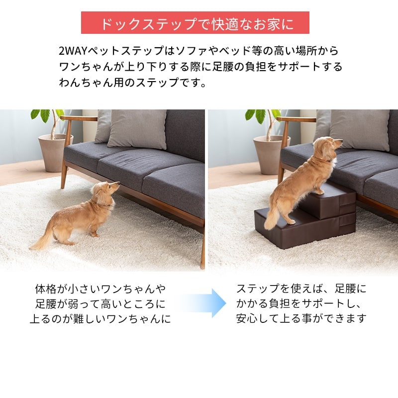 2WAY�ڥåȥ��ƥå� ( �쥮��顼 ) �ڥåȥ��� 2WAY �ڥåȥ��ƥå� �ɥå� ���ƥå� ���ߤ� ���Ԥ�51cm  �ڥå� ���ƥå� ���� ������ �淿�� ���⸤