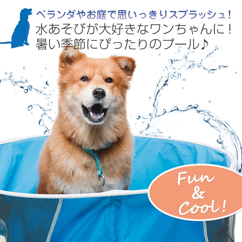 ��������48��OFF SALE�ۿ��������ݥåץ��åס��������ڥåȥס�����Х���L���������ڥåȡ��ס��롡�Х������դ������塡�����ס�����Ǽ���դ�����ͷ�ӡ��ޤꤿ���ߡ�Ķ����������������ǭ