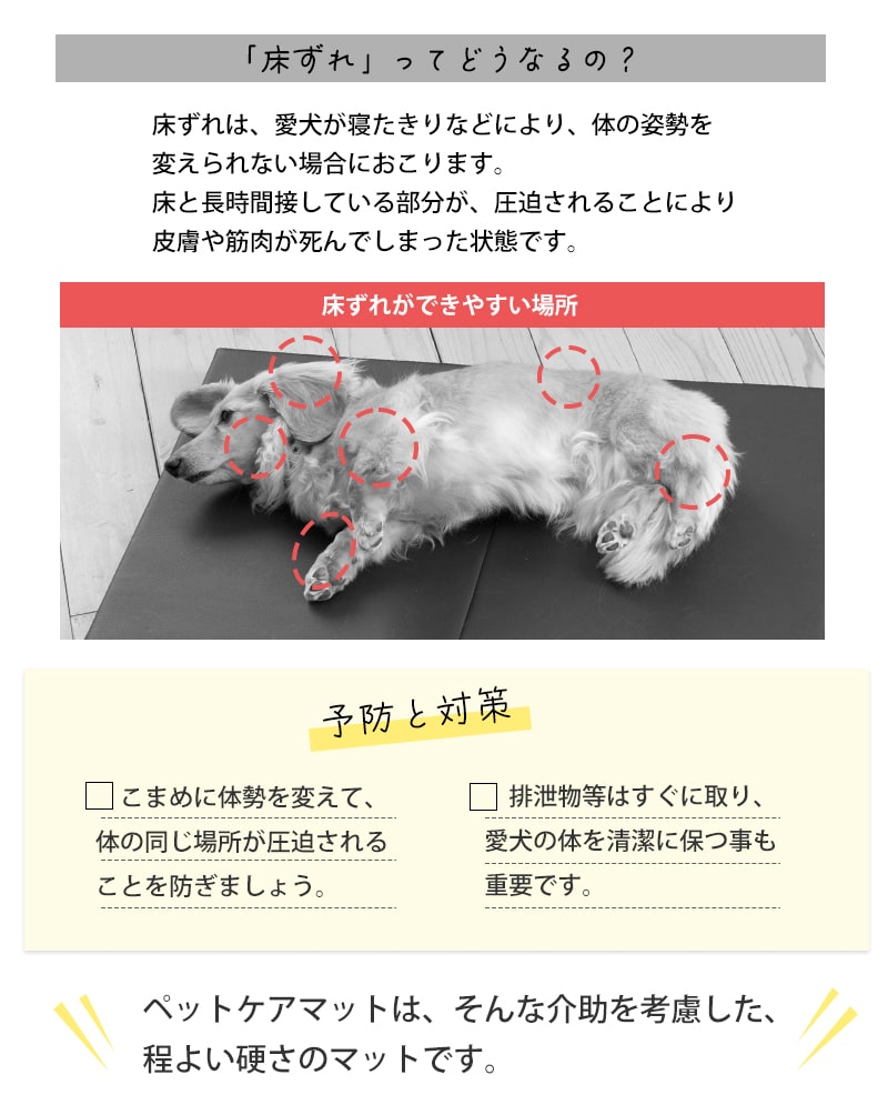 �ڥåȥ��� �������ڥåȥޥå� �ӥ����� �����졡ͽ�� ��70�߱��Ԥ�50cm ������� ����ѥ��� �� �ڥå�  ������  ���⸤