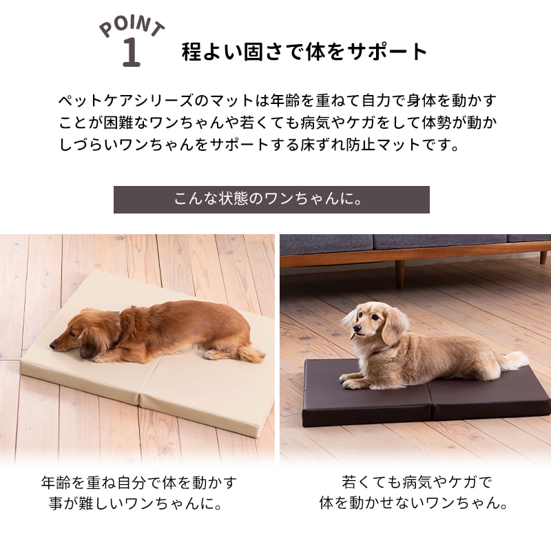 �ڥåȥ��� �������ڥåȥޥå� �ӥ����� �����졡ͽ�� ��70�߱��Ԥ�50cm ������� ����ѥ��� �� �ڥå�  ������  ���⸤