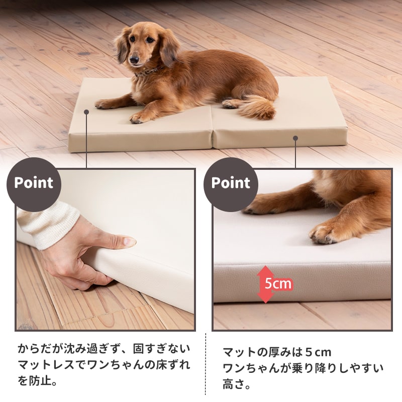 �ڥåȥ��� �������ڥåȥޥå� �ӥ����� �����졡ͽ�� ��70�߱��Ԥ�50cm ������� ����ѥ��� �� �ڥå�  ������  ���⸤