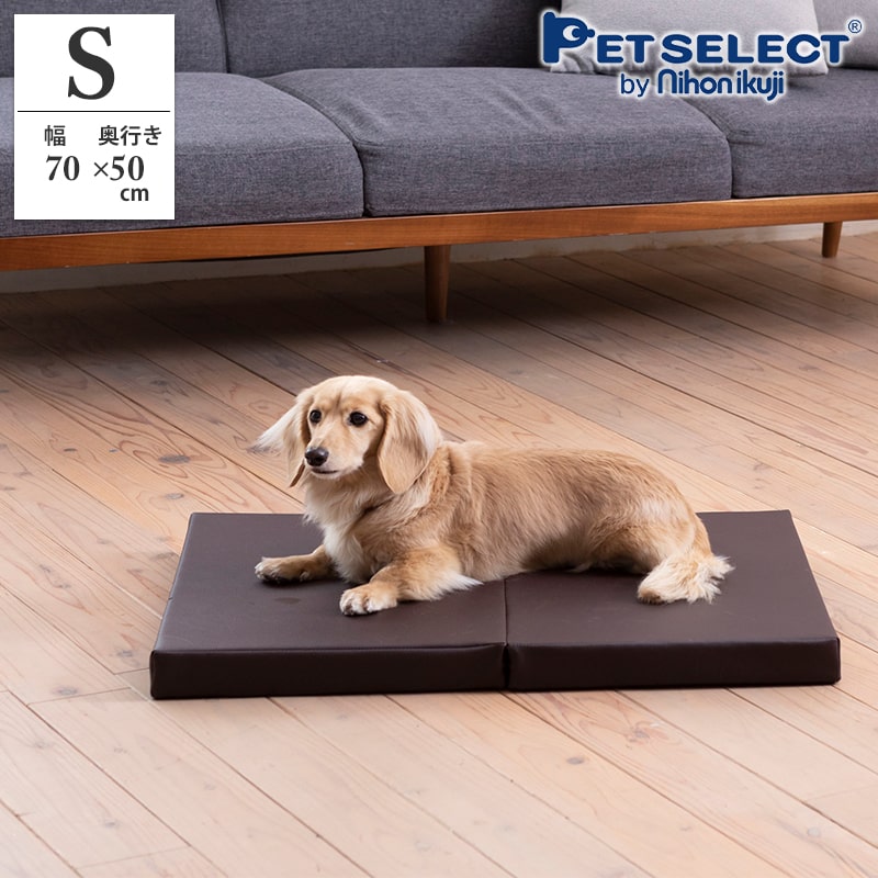 �ڥåȥ��� �������ڥåȥޥå� �ӥ����� �����졡ͽ�� ��70�߱��Ԥ�50cm ������� ����ѥ��� �� �ڥå�  ������  ���⸤