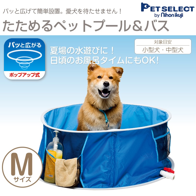 ��31��OFF SALE�ۿ��������ݥåץ��åס��������ڥåȥס�����Х���M���������ڥåȡ��ס��롡�Х������դ������塡�����ס�����Ǽ���դ�����ͷ�ӡ��ޤꤿ���ߡ����������淿