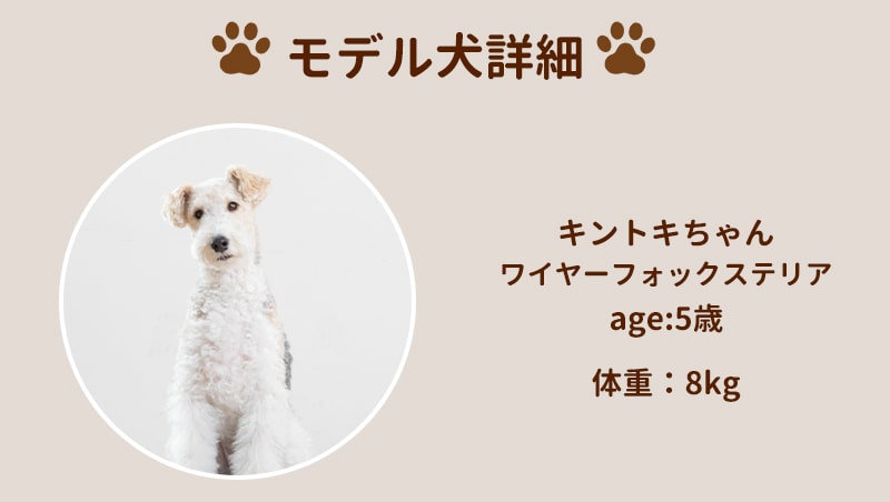 ڥåȥ ڥåȥޥå M 졡ͽ  100߱Ԥ70cm  ѥ  ڥå    淿  ⸤