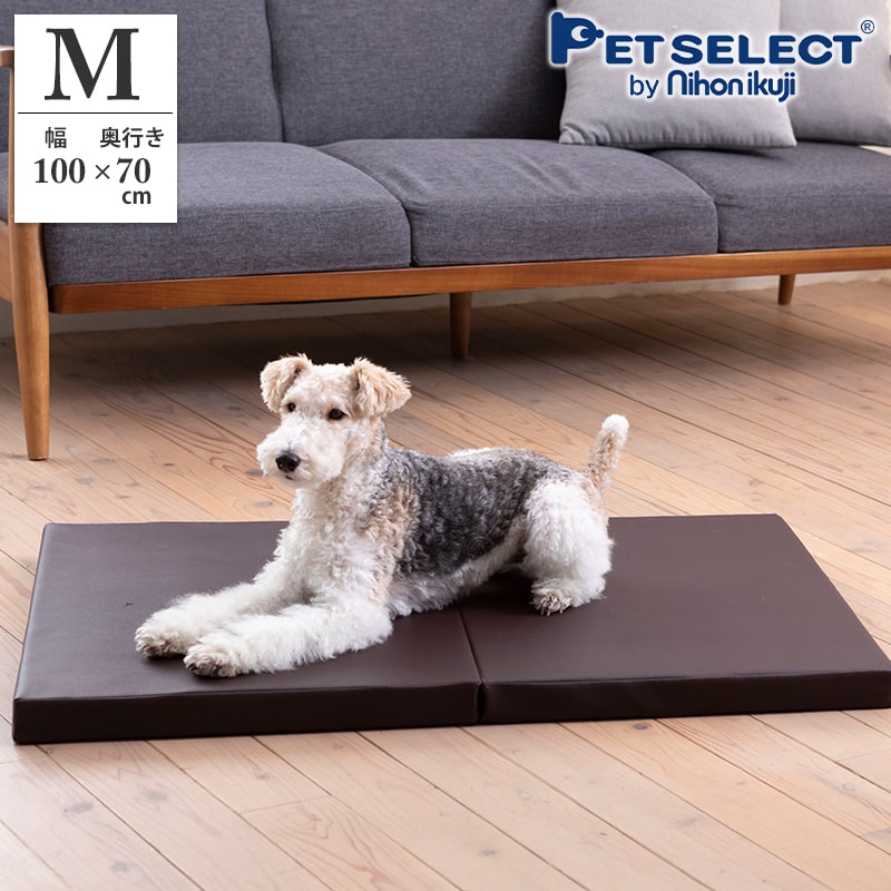 ڥåȥ ڥåȥޥå M 졡ͽ  100߱Ԥ70cm  ѥ  ڥå    淿  ⸤