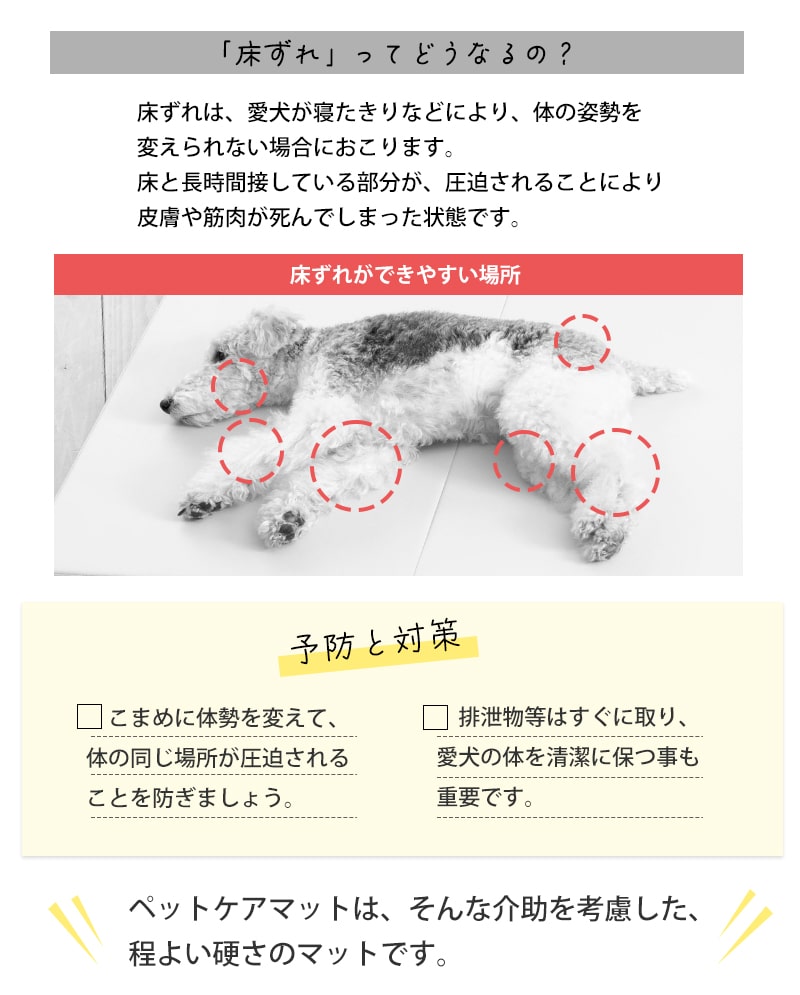 ڥåȥ ڥåȥޥå M 졡ͽ  100߱Ԥ70cm  ѥ  ڥå    淿  ⸤