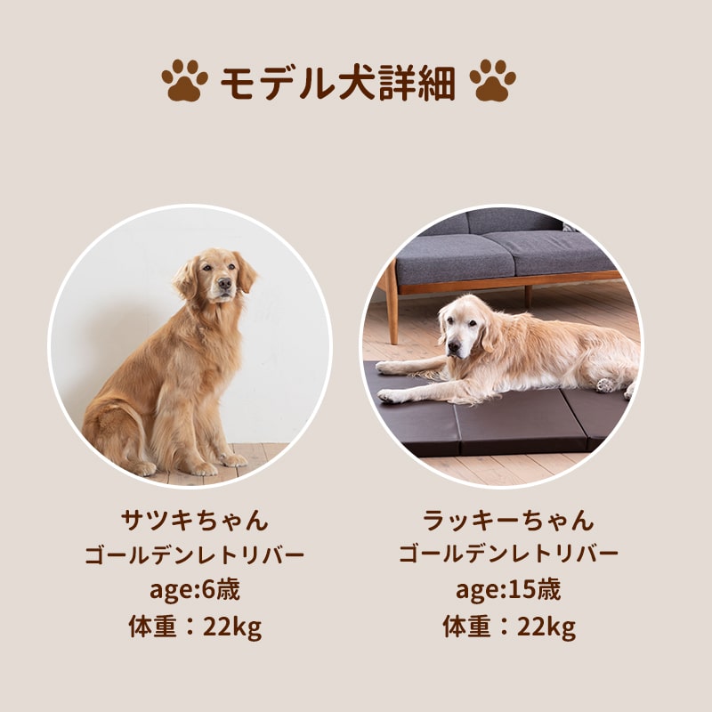 ڥåȥ ڥåȥޥå L  졡ͽ  120߱Ԥ90cm  ѥ  ڥå  緿  ⸤ ȥ꡼С