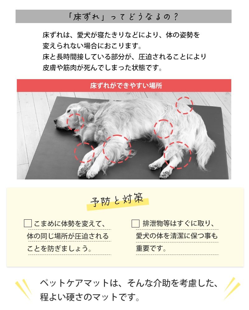 ڥåȥ ڥåȥޥå L  졡ͽ  120߱Ԥ90cm  ѥ  ڥå  緿  ⸤ ȥ꡼С