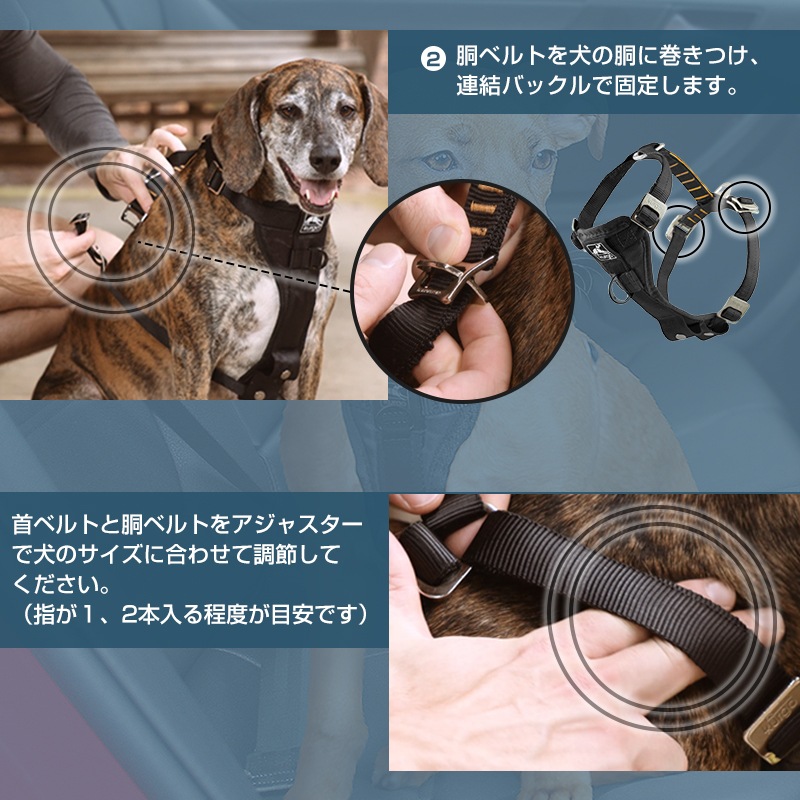 ޡ  ϡͥ XSS Kurgo ɥ饤ѥϡͥ ꡼  ɥ饤     ȥ٥   ɥåϡͥ  ⥰å ȥɥ  ˥