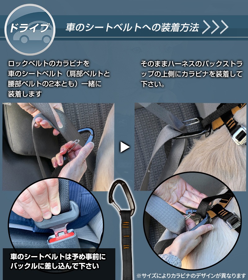 ޡ  ϡͥ XSS Kurgo ɥ饤ѥϡͥ ꡼  ɥ饤     ȥ٥   ɥåϡͥ  ⥰å ȥɥ  ˥