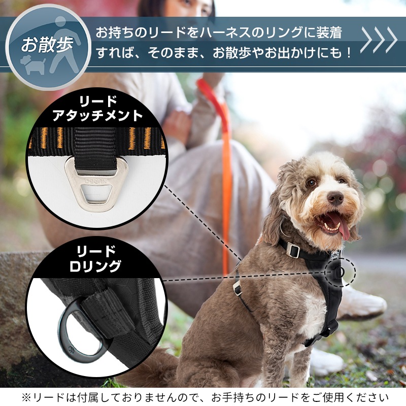 ޡ  ϡͥ XSS Kurgo ɥ饤ѥϡͥ ꡼  ɥ饤     ȥ٥   ɥåϡͥ  ⥰å ȥɥ  ˥