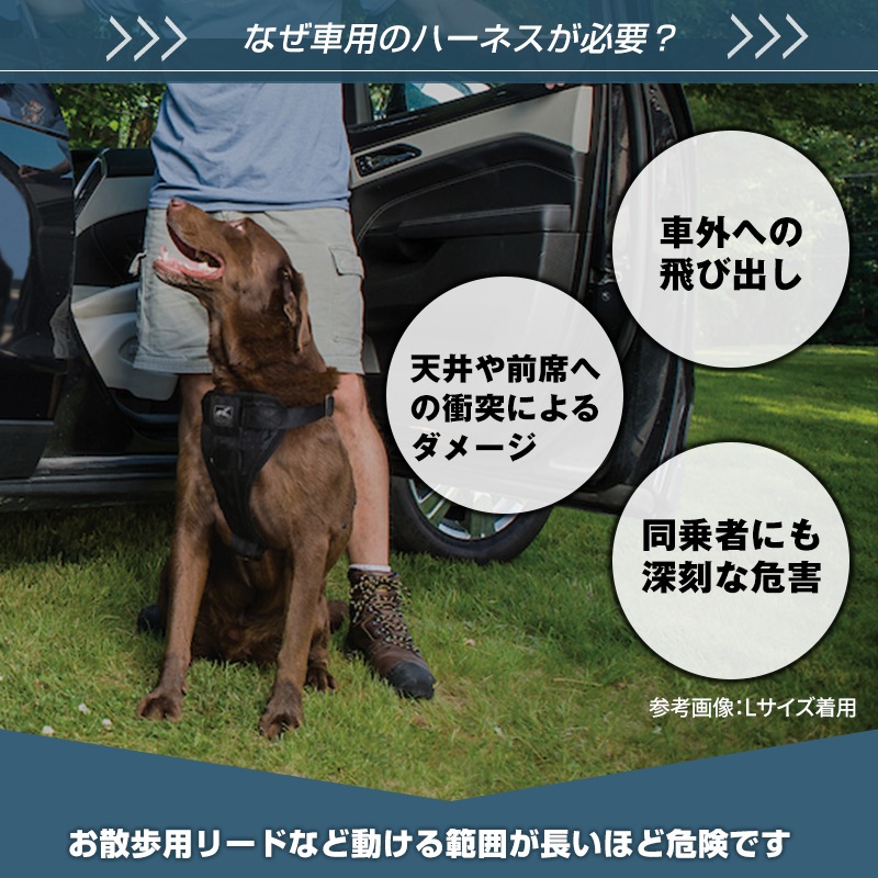 ޡ  ϡͥ XSS Kurgo ɥ饤ѥϡͥ ꡼  ɥ饤     ȥ٥   ɥåϡͥ  ⥰å ȥɥ  ˥