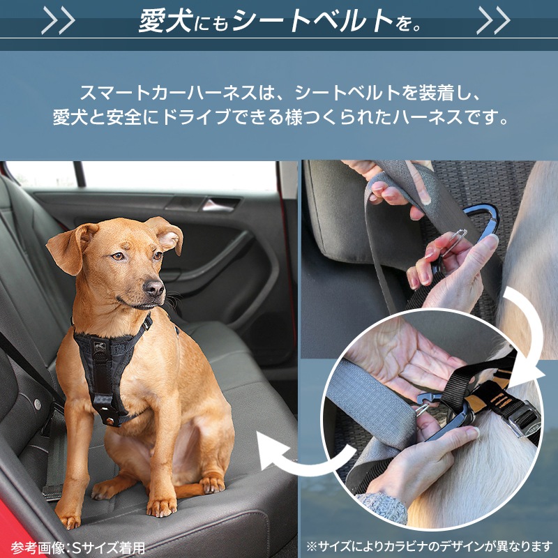 ޡ  ϡͥ XSS Kurgo ɥ饤ѥϡͥ ꡼  ɥ饤     ȥ٥   ɥåϡͥ  ⥰å ȥɥ  ˥