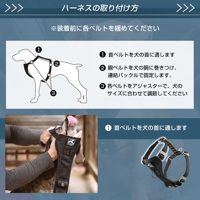 ޡ  ϡͥ XSS Kurgo ɥ饤ѥϡͥ ꡼  ɥ饤     ȥ٥   ɥåϡͥ  ⥰å ȥɥ  ˥