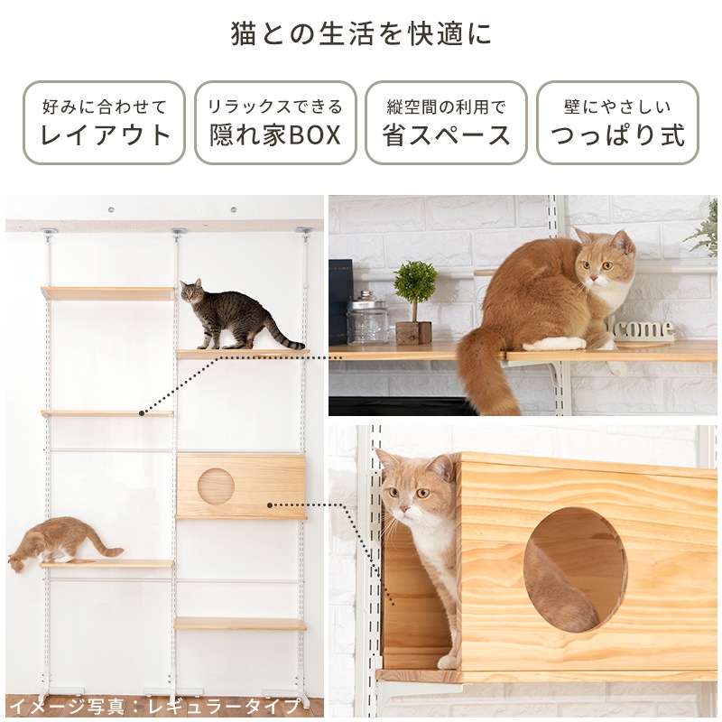 ����åȥ������� �˥�󥳥ҥ륺 NEW������ ���� ǭ ��� �⤵215��270cm �ĤäѤ� �򴹲�ǽ ���� �� �ϥ��� ��ư��­  ����ץ�  ê�ĥե꡼ ¿Ƭ���� ���˥� ��ǭ �ʥ����� �֥饦�� �緿ǭ ����å�