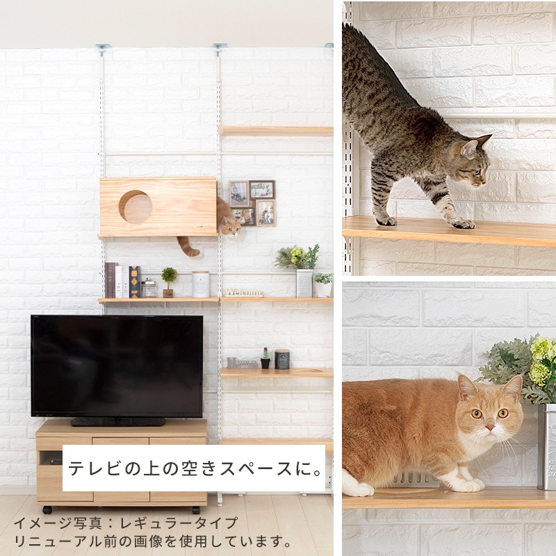 ����åȥ������� �˥�󥳥ҥ륺 NEW������ ���� ǭ ��� �⤵215��270cm �ĤäѤ� �򴹲�ǽ ���� �� �ϥ��� ��ư��­  ����ץ�  ê�ĥե꡼ ¿Ƭ���� ���˥� ��ǭ �ʥ����� �֥饦�� �緿ǭ ����å�