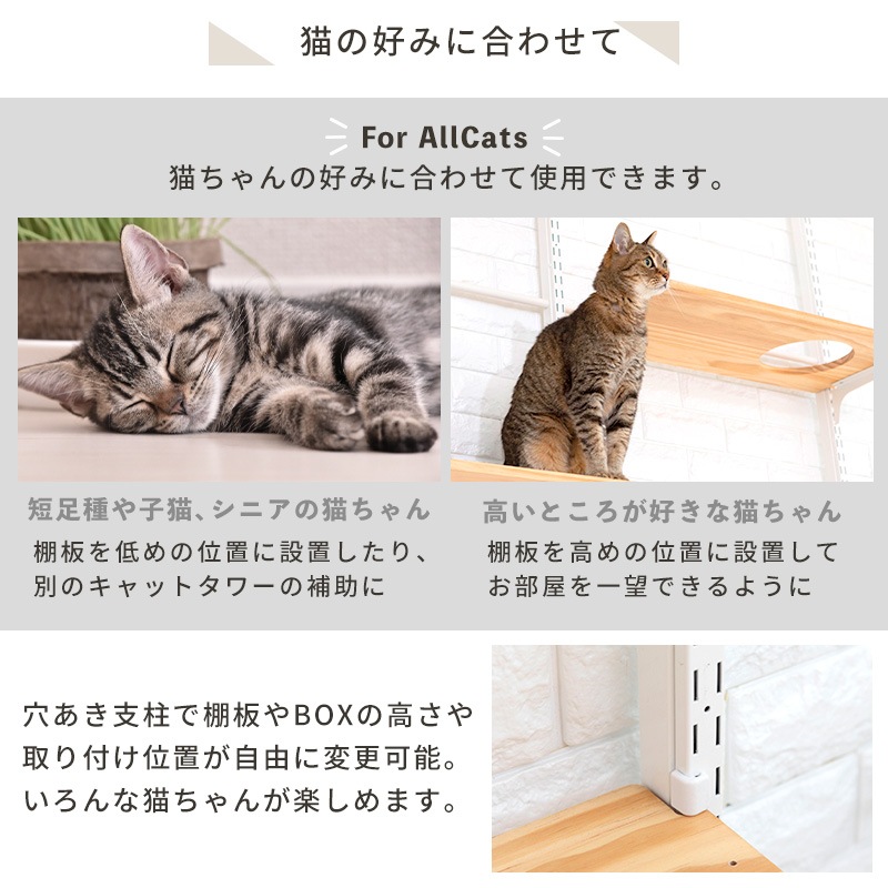 ����åȥ������� �˥�󥳥ҥ륺 NEW������ ���� ǭ ��� �⤵215��270cm �ĤäѤ� �򴹲�ǽ ���� �� �ϥ��� ��ư��­  ����ץ�  ê�ĥե꡼ ¿Ƭ���� ���˥� ��ǭ �ʥ����� �֥饦�� �緿ǭ ����å�