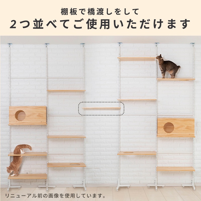 ����åȥ������� �˥�󥳥ҥ륺 NEW������ ���� ǭ ��� �⤵215��270cm �ĤäѤ� �򴹲�ǽ ���� �� �ϥ��� ��ư��­  ����ץ�  ê�ĥե꡼ ¿Ƭ���� ���˥� ��ǭ �ʥ����� �֥饦�� �緿ǭ ����å�