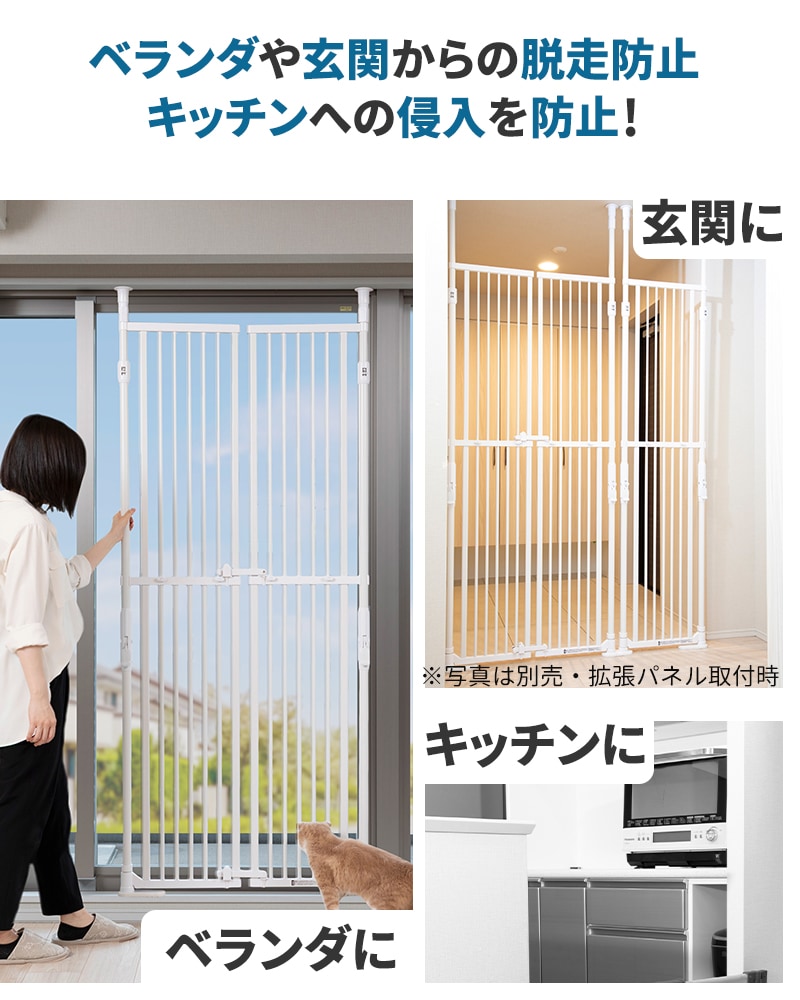 Τܤ˥ Хꥢե꡼ Quick(å) ǭ ͤ æɻ  ڥåȥ ϥ 190cm  ǭ  ɥդ ͤĥ ե Τܤˤ ͥ   ٥  ϭ  ӽФɻ