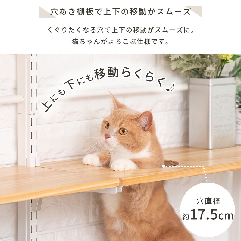 ����������� �򴹡��������� ����åȥ������� �˥�󥳥ҥ륺 ���� ê�ĥ��å� (�ꤢ��) ������åȥ������� �˥�󥳥ҥ륺���Τ����� �ڥåȥ��쥯�� PETSELECT