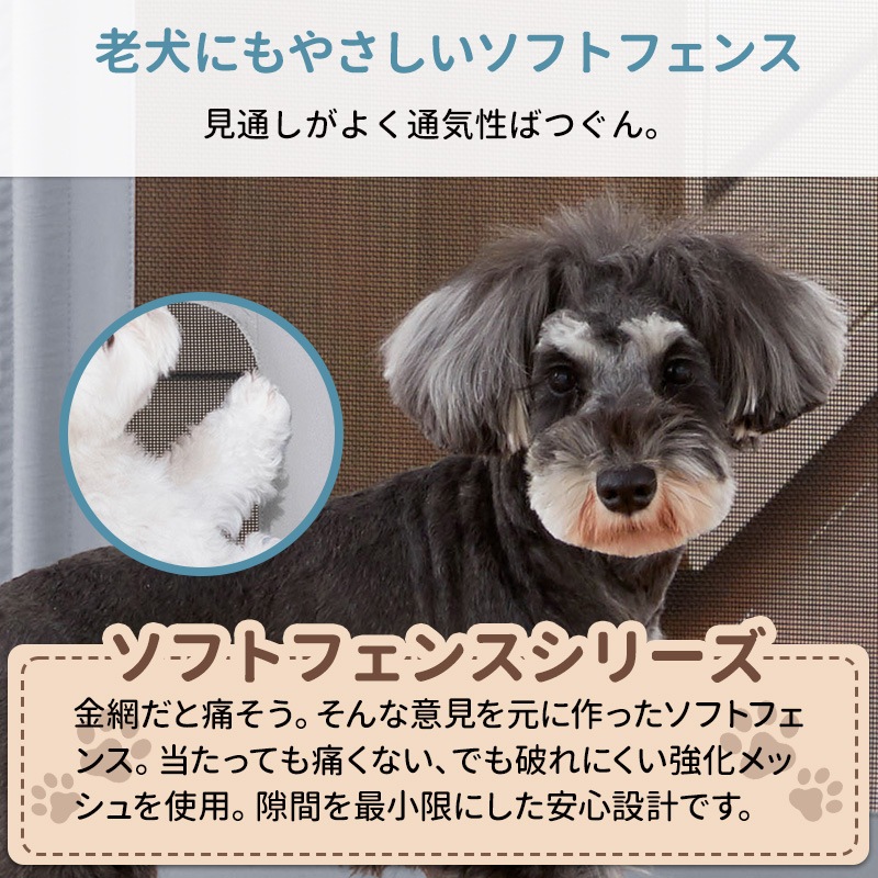 ڿʡۥڥåȥ  Ȥ 롼 Lite ֤ ɥդ    ڥåȥե    æɻ ե ե  餫 ӽФɻ