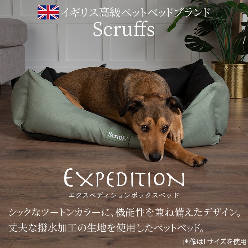 �������ڥǥ������ �ܥå��� �٥å� S ��� �ڥå� �٥å� �� ���� ������ ������� ������ ���� ���� �� �� �� �� ǭ �ڥå��� ���ɥ顼 �ޥå� ���å���� �ڥå� ��ä��� ���ꥹ�ޥ� scruffs