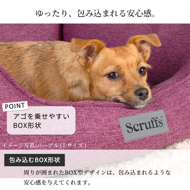 �ޥ�ϥå��� �ܥå��� �٥å� L �ڥå� �����ꥹ�ǥ����� �֥��� �� ���� �淿�� ������� ������ ���� �� �� �� �� ǭ �ڥå��� ���ɥ顼 �ޥå� ���å���� �ڥå� �̵��� ��ä��� ���η� ���ԡ��������� scruffs