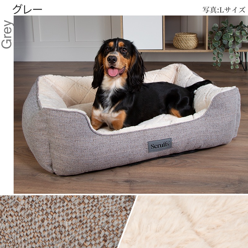 �ڥåȥ٥å� ���åɥ��� �ܥå��� �٥å� S �����ꥹ�ǥ����� ��� �֥��� �ڥåȥ��ե� �� ���� ������ �淿�� �緿�� ǭ ������ ���� �� �� �� �� �ڥå��� ���� �դ�դ� �ե꡼�� ����ƥ��� ���å���� ���ߤ� ��ä��� scruffs