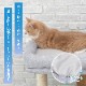  åȥ ˥󥳥Υʥ Ҥꥯå󥻥å  åȥ 䴶 Ҥ     ä  ڥåȥ쥯 PETSELECT