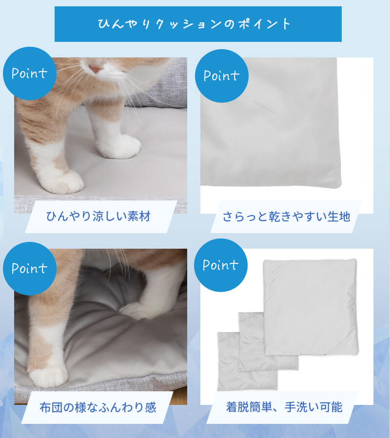  åȥ ˥󥳥Υʥƥåס Ҥꥯå󥻥å  åȥ 䴶 Ҥ     ä  ڥåȥ쥯 PETSELECT