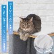  åȥ ˥󥳥Υʥƥåס Ҥꥯå󥻥å  åȥ 䴶 Ҥ     ä  ڥåȥ쥯 PETSELECT