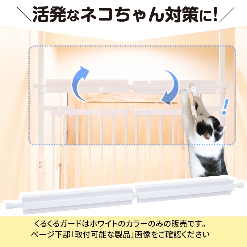 1_000000000159.jpg?1754553378