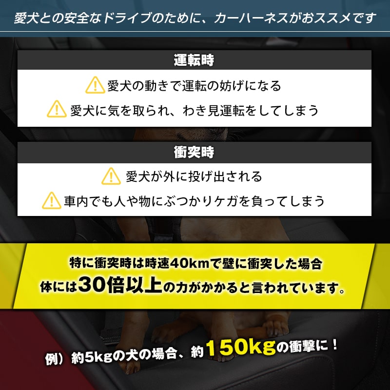 25%OFFۥѥ  ϡͥ XL Kurgo ɥ饤֥ϡͥ  ȥ٥ ϡͥ  緿   ɥåϡͥ ɥ饤    ȥɥ