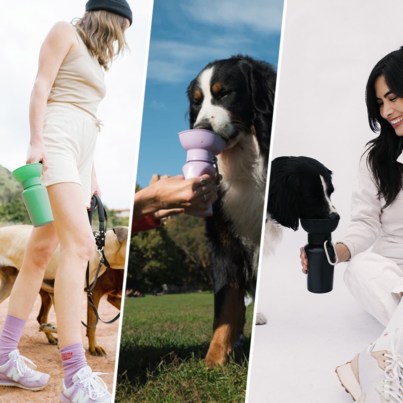 ������̵���ۥڥå� �� ���� AUTO PET MUG FLIP �����ȥڥåȥޥ� �ե�å�  [590ml]  ���ܥȥ� �� ���� �����������ܥȥ�